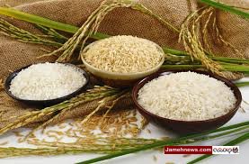 خبر خوب| برنج ایران صاحب پایانه صادرات شد