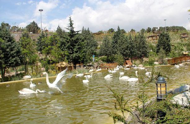 مجوز محیط زیستی بخش کابل و تور باغ پرندگان لویزان تهران صادر شد